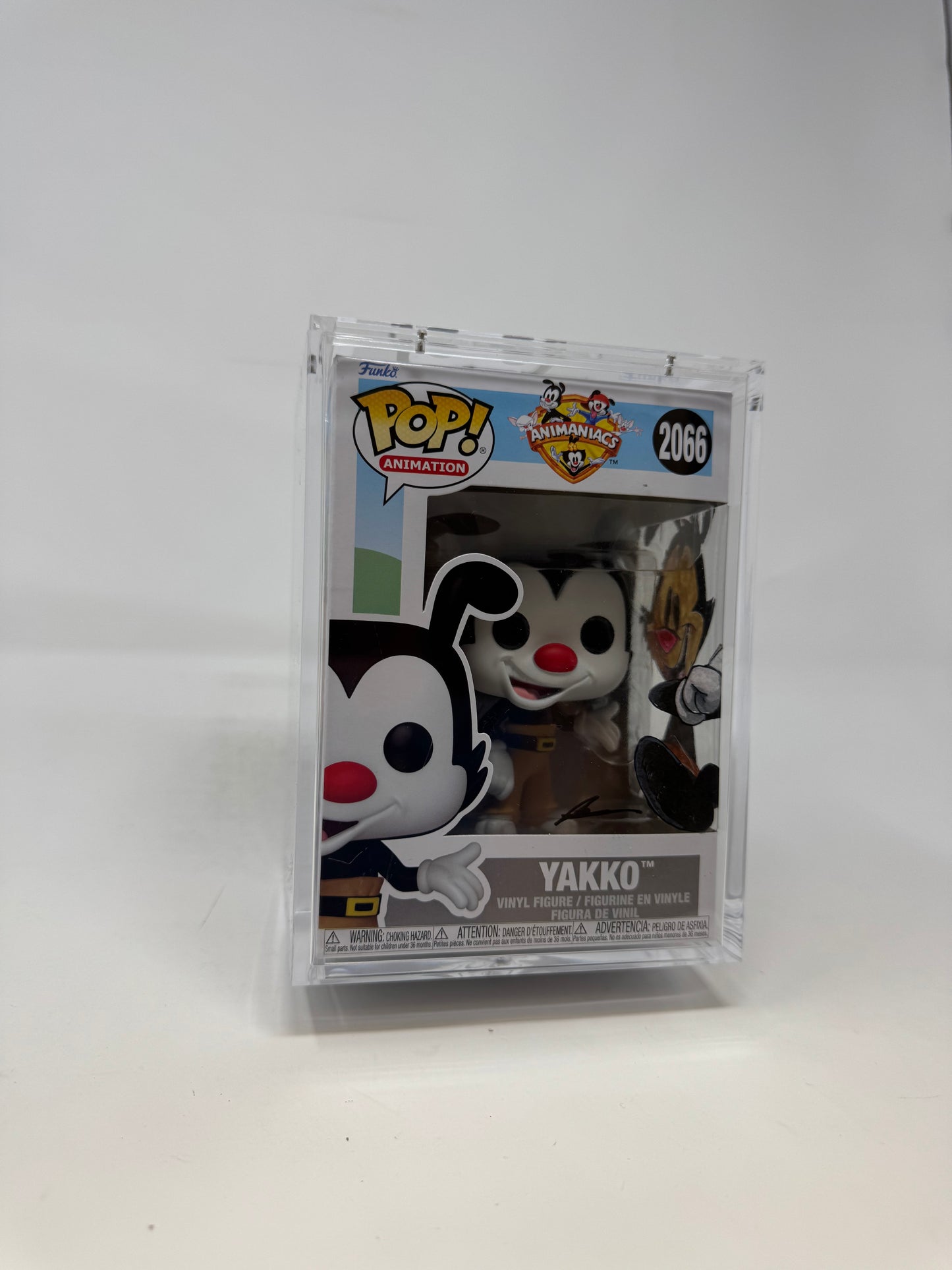 Animation- Animaniacs Yakko 2066 TCC X Mooch Custom