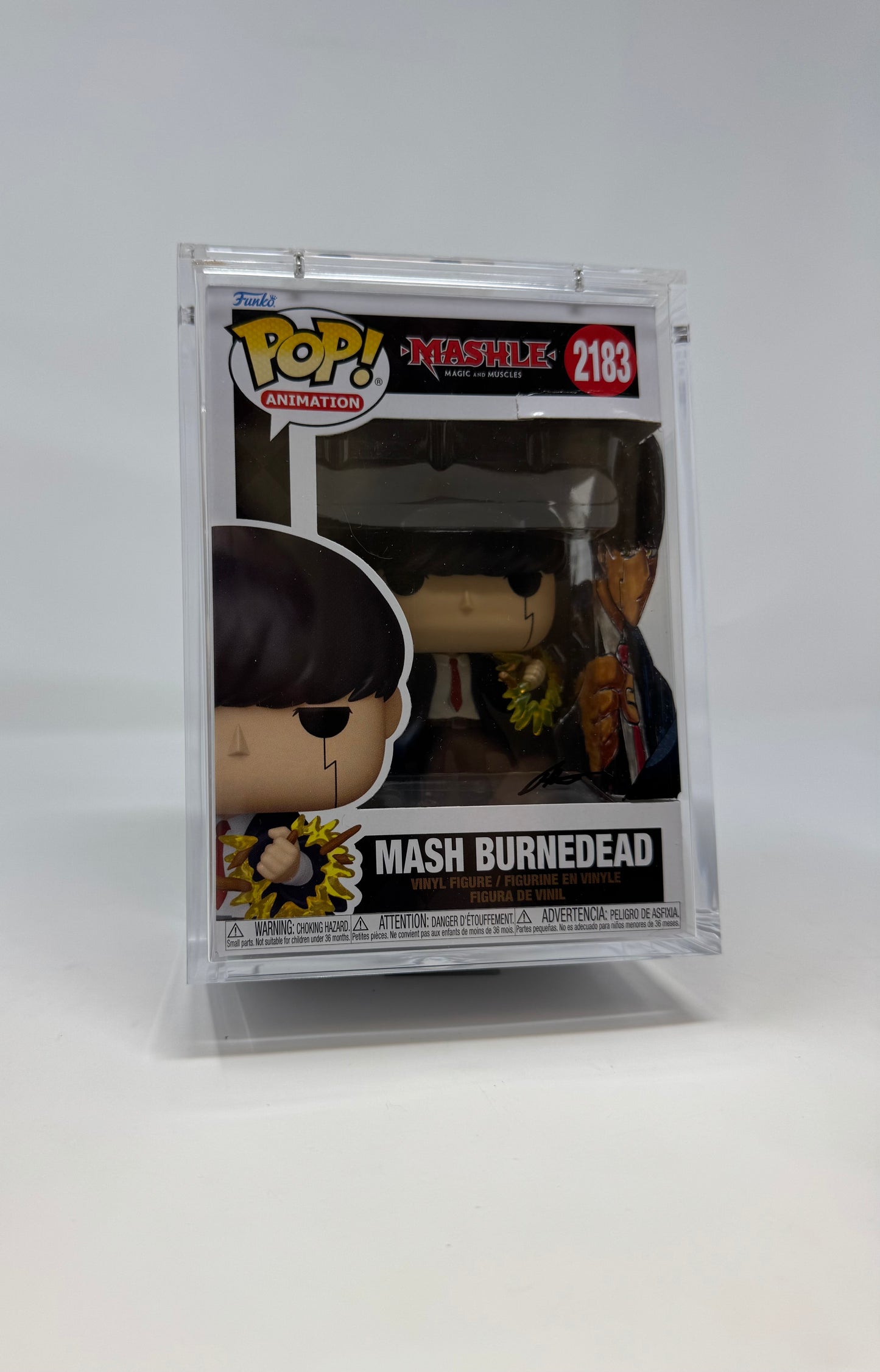 Animation- Mashle Magic and Muscles Mash Burnedead 2183 TCC X Mooch Custom