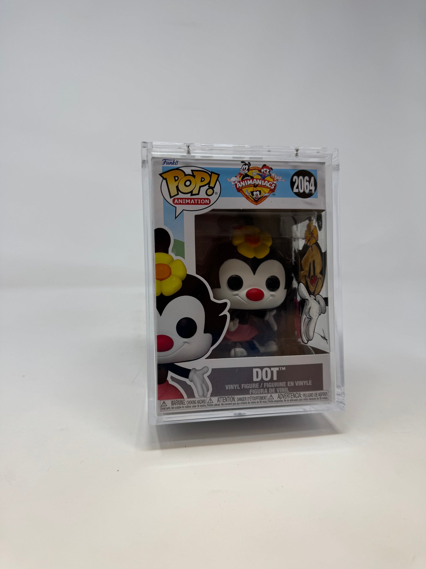 Animation- Animaniacs Dot 2064 TCC X Mooch Custom